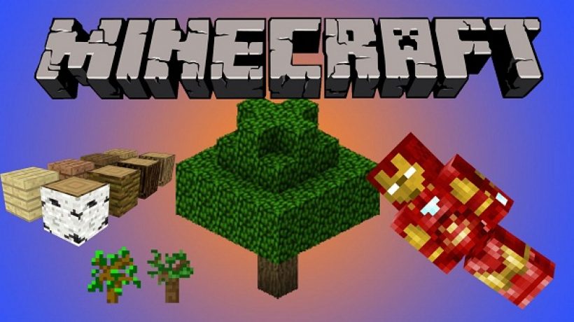 Minecraft Basics For Newbies