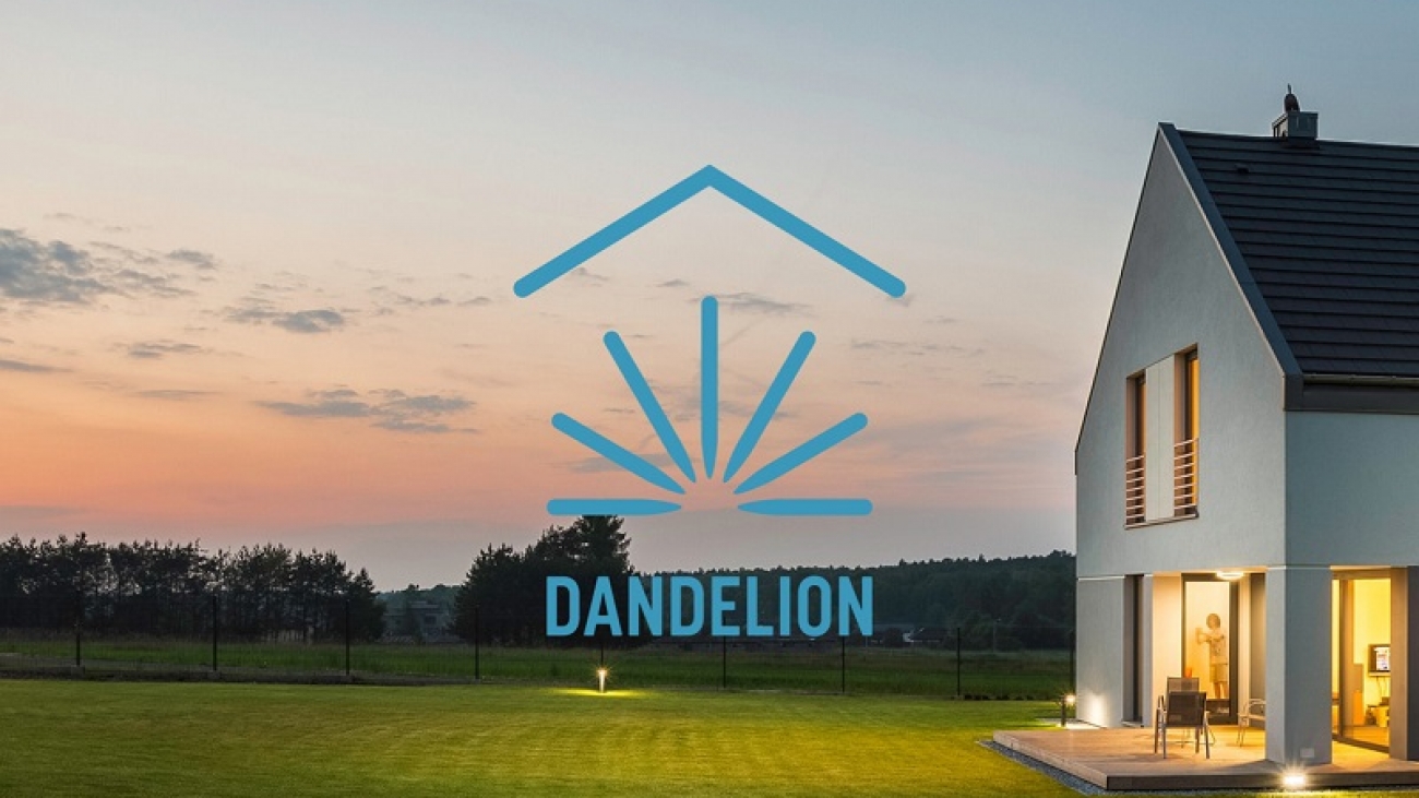Google Dandelion