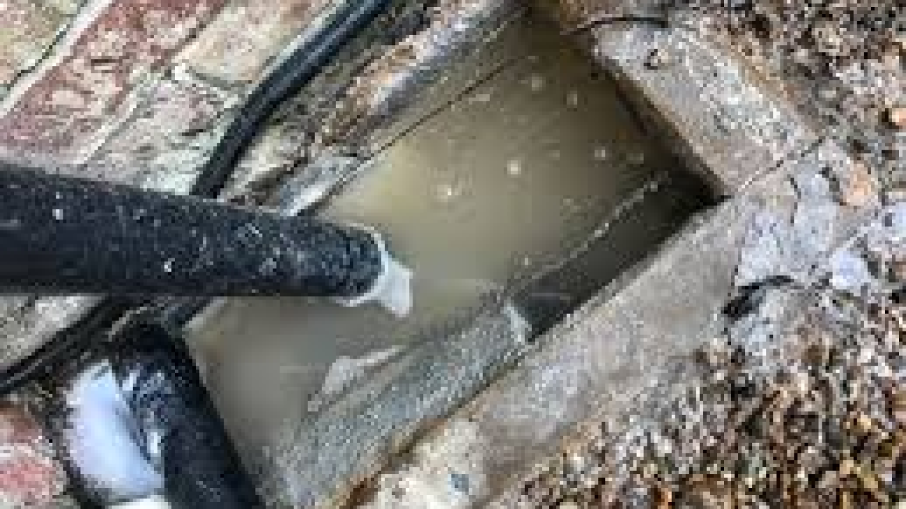Damage That Can Be Caused by Blocked Drains2